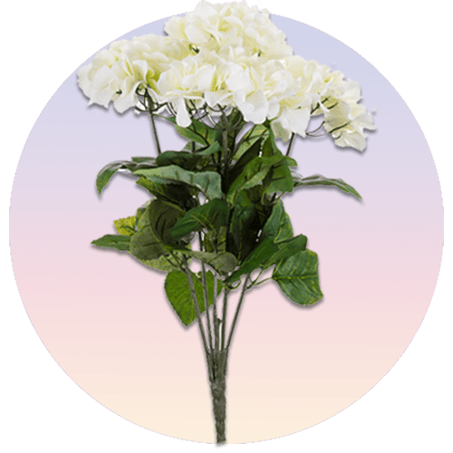 محصولات: گل های هورتانسیا