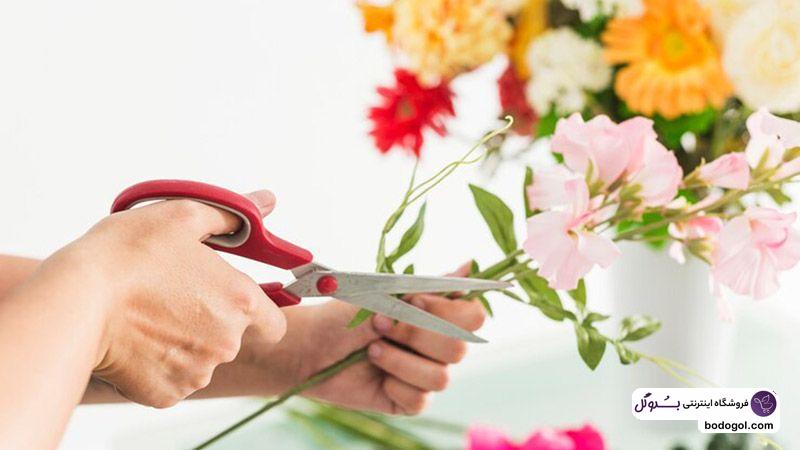 چند نکته مهم برای خرید گل شاخه ای اینترنتی
