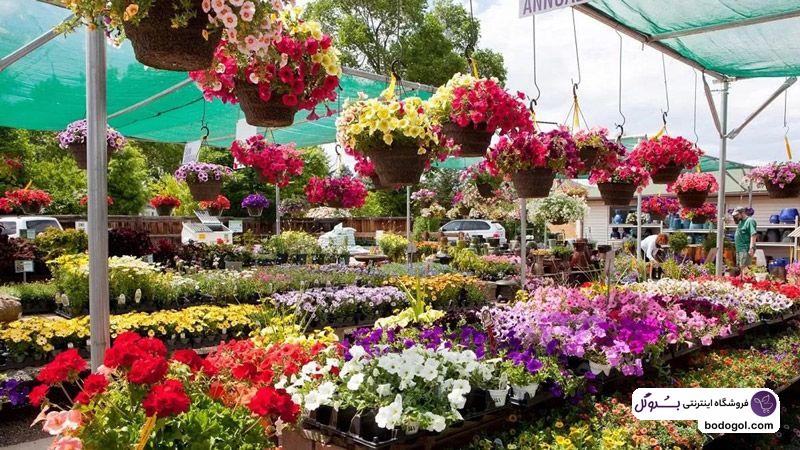 رازهای خرید گل ارزان از بازار گل