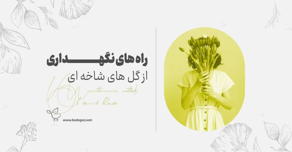 افزایش عمر گل در گل فروشی و خانه