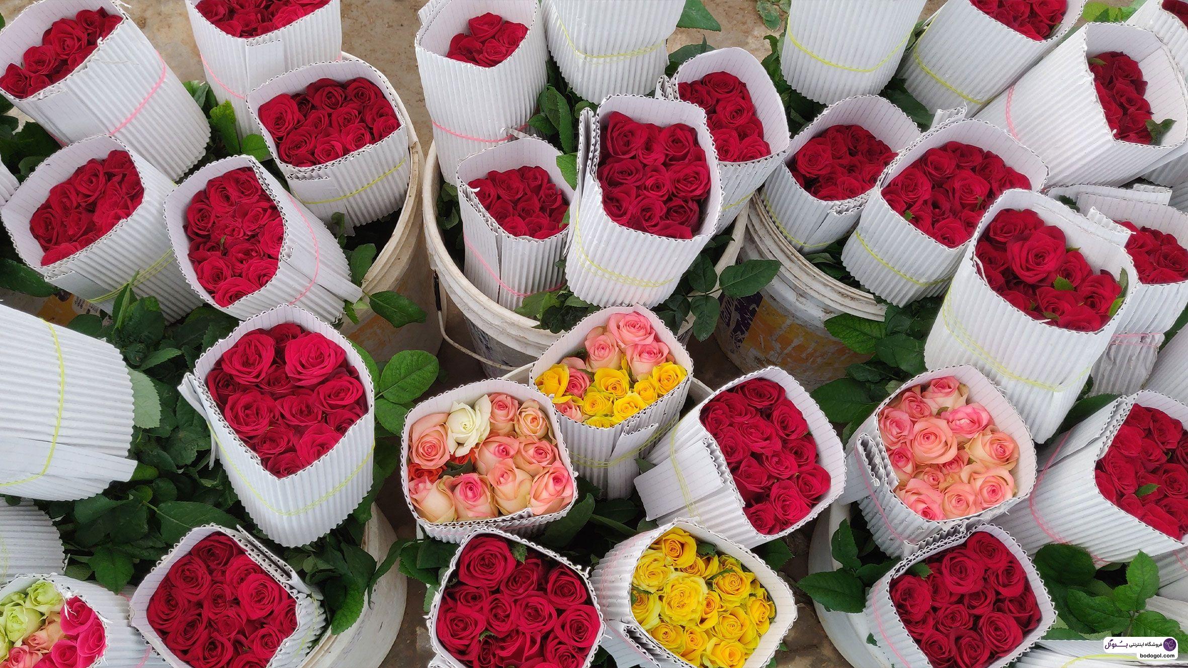 قیمت گل رز هلندی بصورت عمده در بازار گل